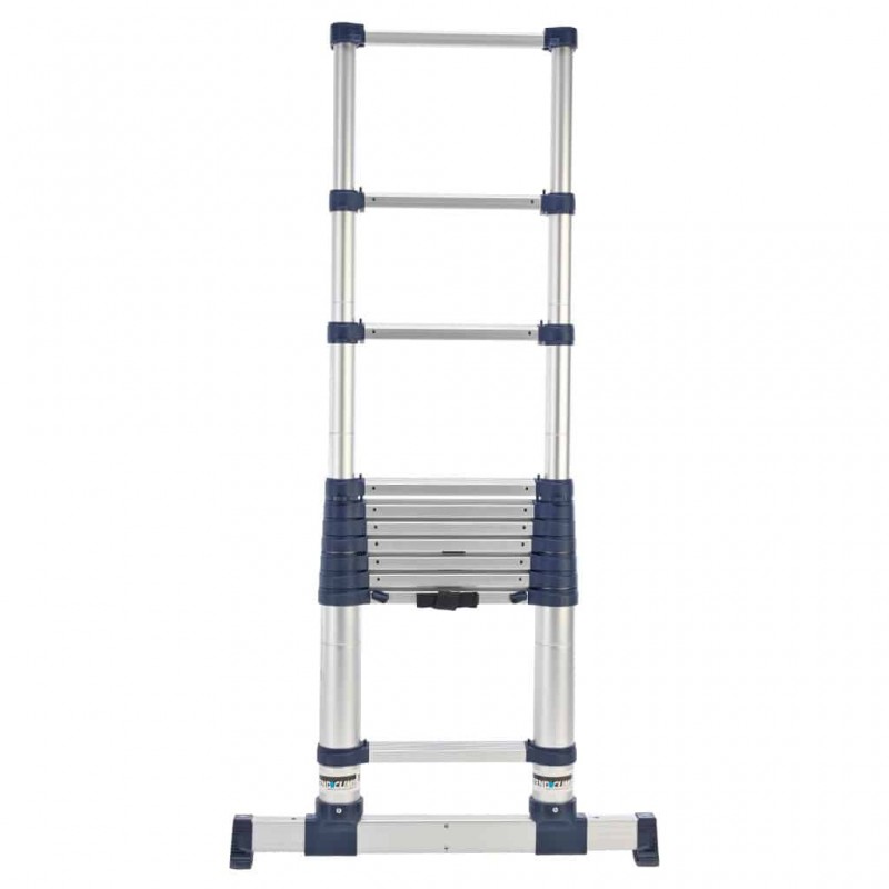 Xtend + Climb Pro2 Telescopic Ladders